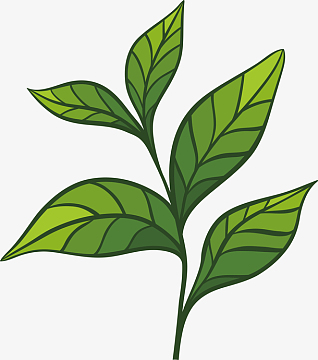 毛笔字,碧螺春(454x553)png一堆绿茶茶叶摄影(800x800)png茶叶主图
