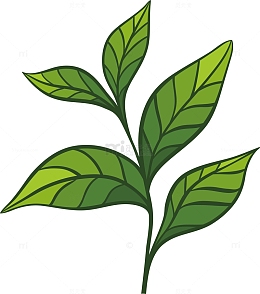 绿色茶叶碧螺春茶叶