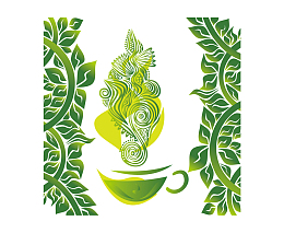 茶叶线条乌龙茶茶叶