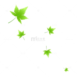 漂浮的叶子的
