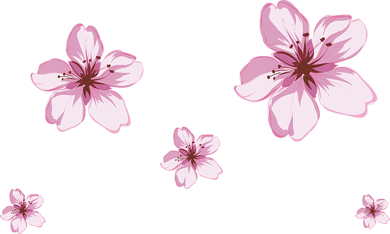 漂浮粉色花朵