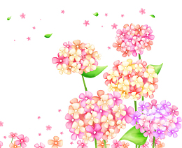 手绘绣球花
