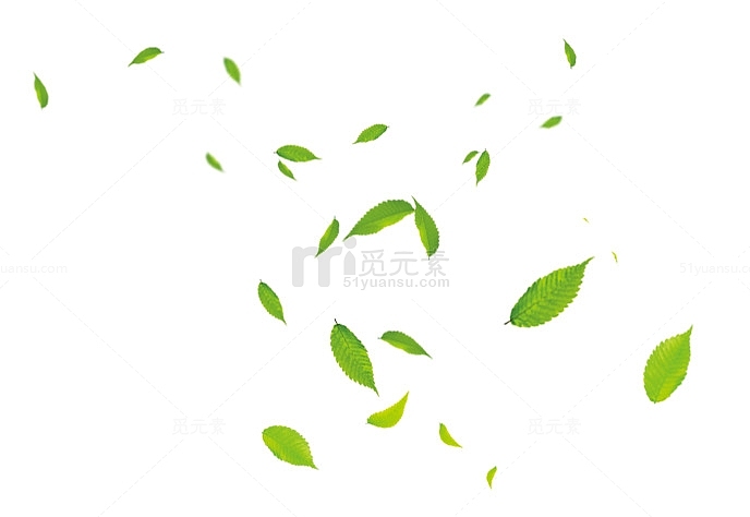 卡通手绘漂浮绿色叶子