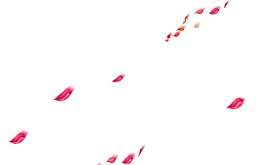 花瓣漂浮