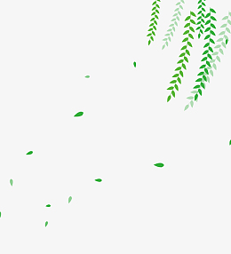 小清新春季柳枝摇摆柳叶飘飘漂浮