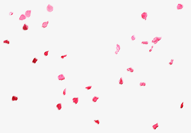 粉色花瓣飞舞漂浮素材