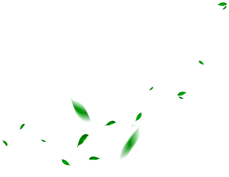 绿色叶子漂浮素材