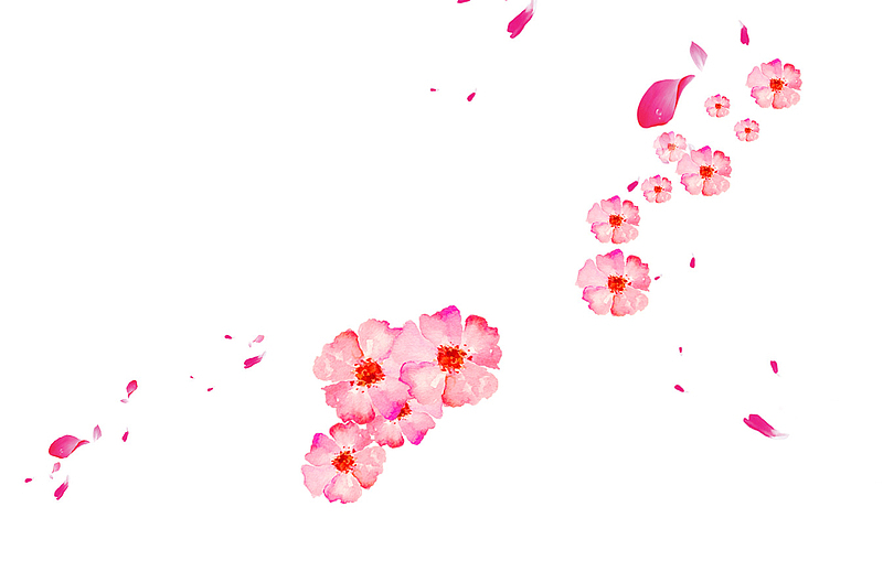 手绘清新粉色花朵漂浮素材