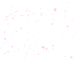 粉色花瓣