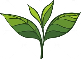 绿色茶叶碧螺春茶叶