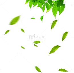 绿色叶子