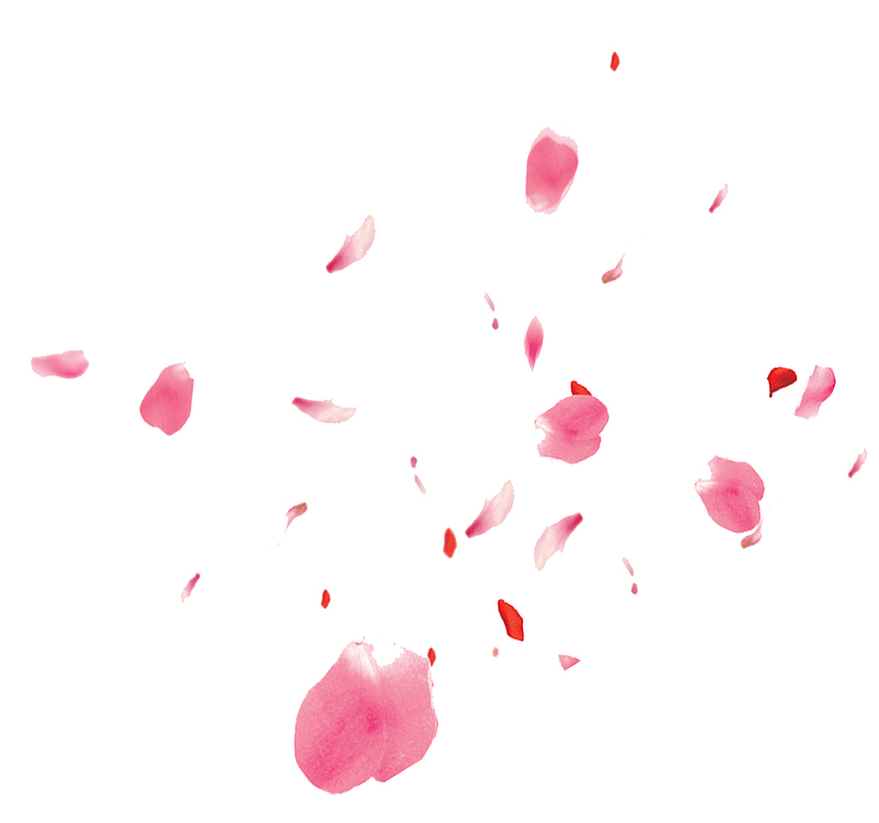 粉色水彩花瓣漂浮素材