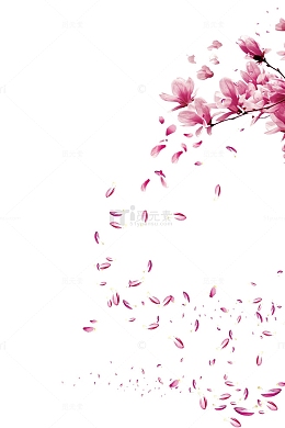 漂浮的玉兰花瓣