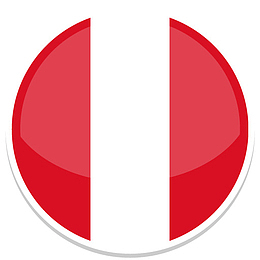 秘鲁平圆世界国旗图标集