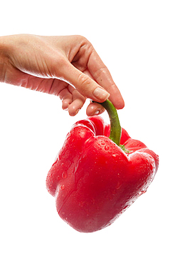 红色美味手捏着带水珠的红灯笼椒