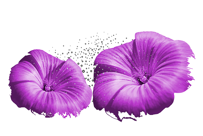 紫色花花