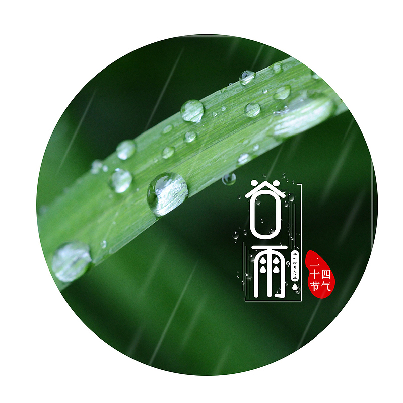 绿色谷雨节日水珠元素