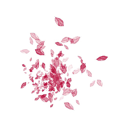 粉色花瓣素材