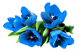 蓝色鲜花
