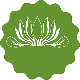 乌龙茶茶叶毛尖茶叶
