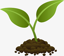 刚发芽的绿色叶子图