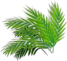 卡通自然动漫棕榈叶矢量素材