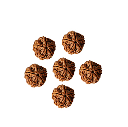 产品实物六个菩提子