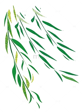 踏青清新柳叶郊游