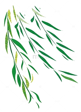 踏青清新柳叶郊游