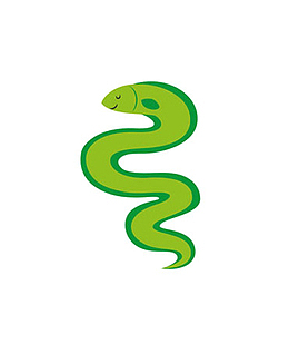 鳗鱼