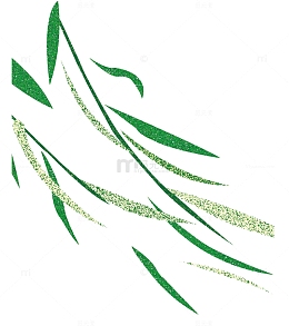 绿色飘扬柳叶柳树