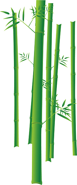 矢量图水彩绿色竹林