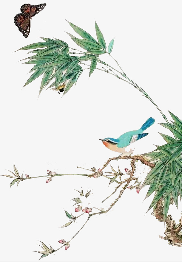 手绘花鸟画竹子