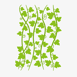 矢量绿色葡萄藤叶藤蔓