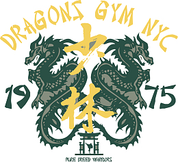 盘龙少林武打衣标袖标徽章