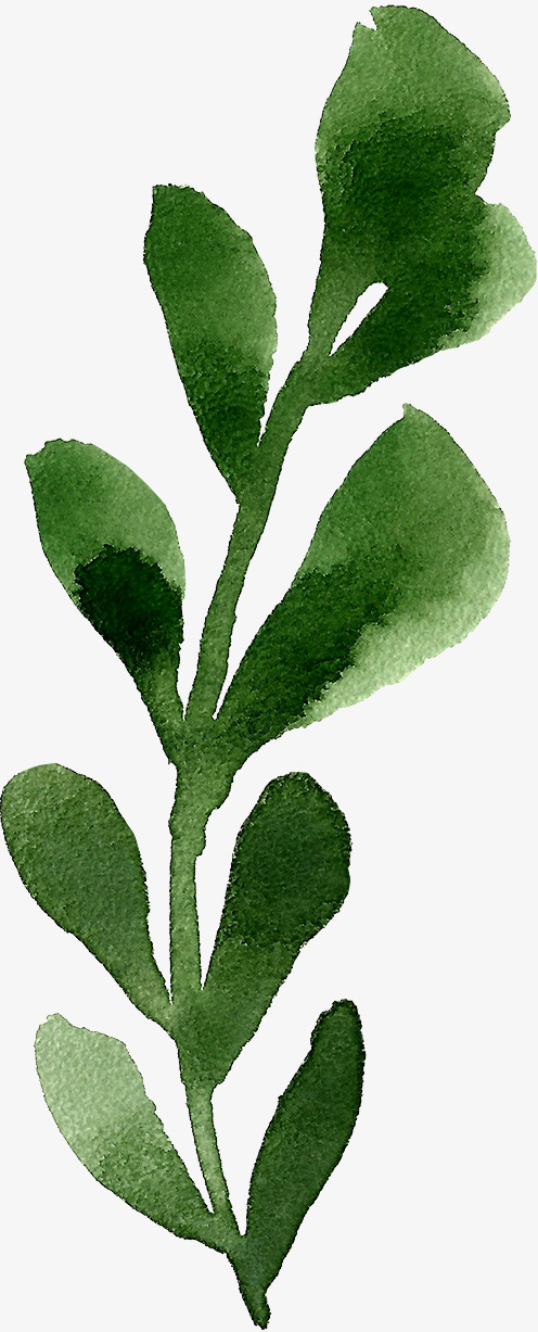 关键词 : 手绘,叶子,树叶,绿色[声明] 觅元素所有素材为用户免费分享