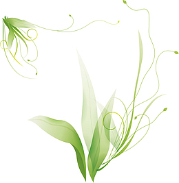 绿色时尚花纹背景