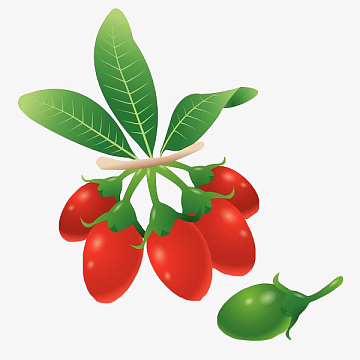 鲜果(1000x903)png手绘红色枸杞子(800x1200)png红色手绘枸杞(600x6