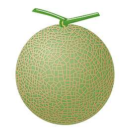 卡通手绘绿色的哈密瓜