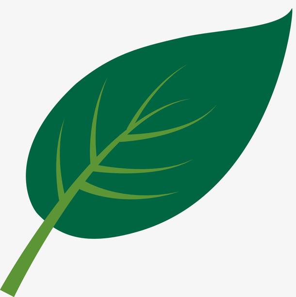 绿色树叶设计矢量素材