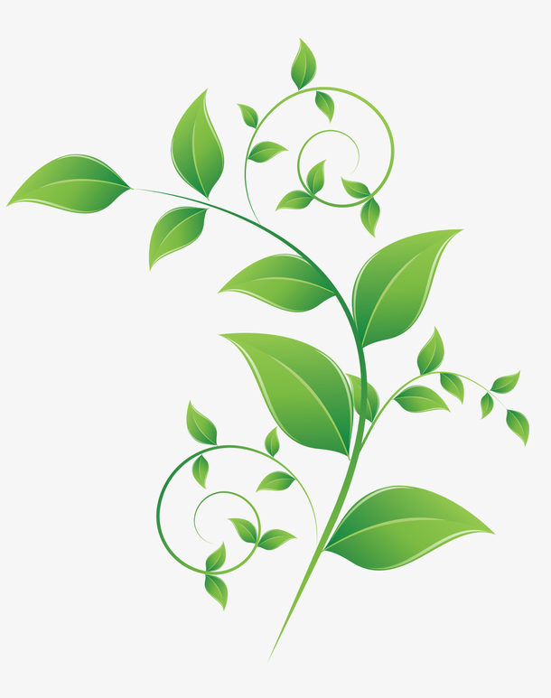 关键词 : 茶叶花纹,花纹,叶子花纹,叶子矢量图,绿色叶子,矢量图[声明]