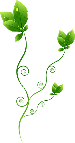 卡通绿色藤蔓素材图