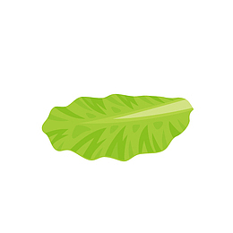 卡通手绘青菜菜叶