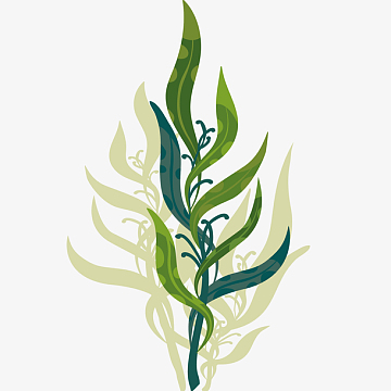 绿色海草矢量插画