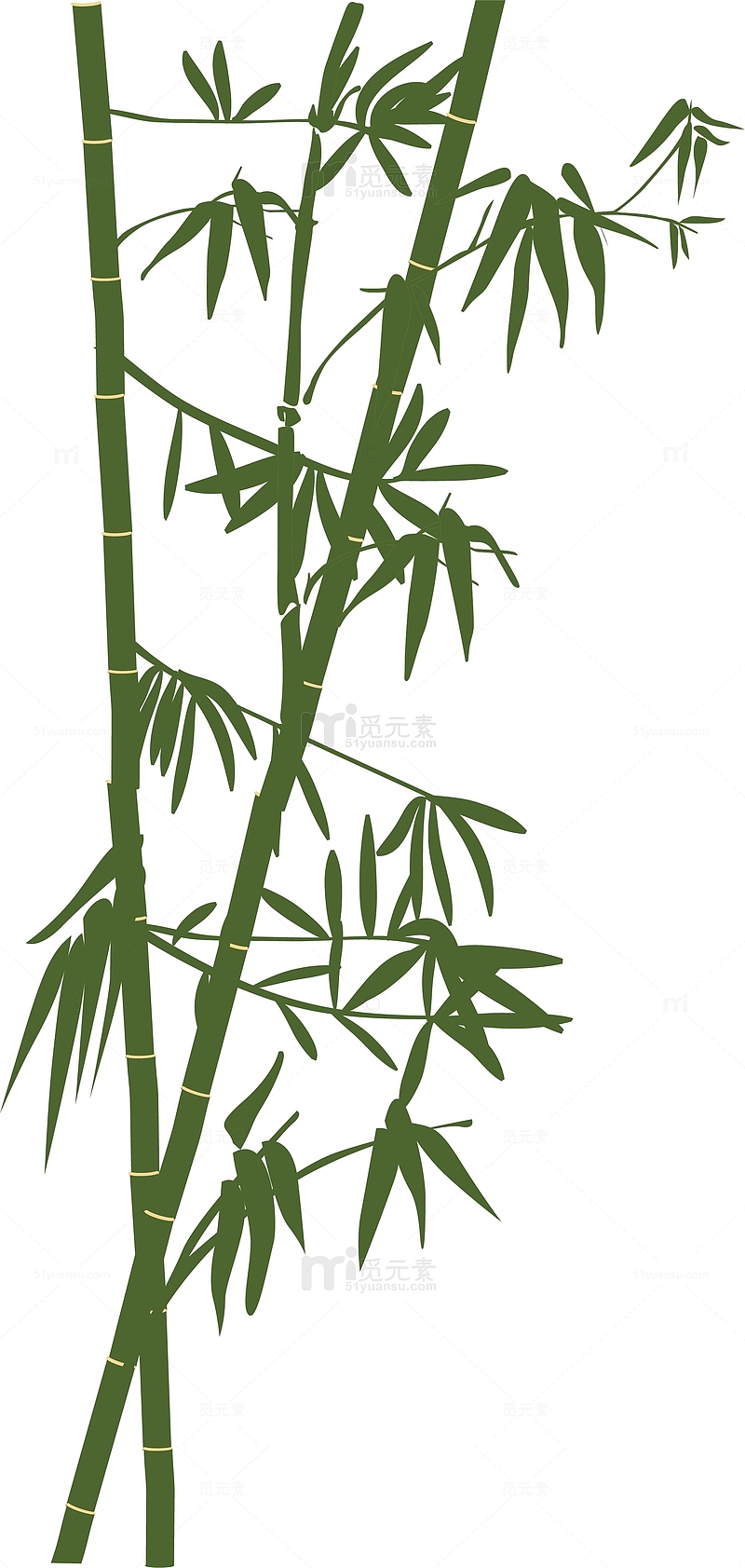 清明节手绘竹子素材