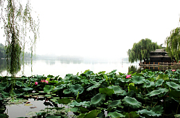 大明湖畔风景图片