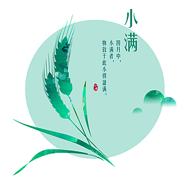 二十四节气小满宣传海报