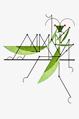 矢量png图pngpng螳螂和蜘蛛pngpng卡通昆虫矢量素材pngepspng卡通可爱