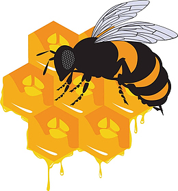 手绘金色图标蜂巢