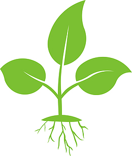 大自然绿色叶子